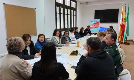 Utrera celebra el Consejo Local de la Mujer con motivo del Día Internacional de la Eliminación de la Violencia contra la Mujer