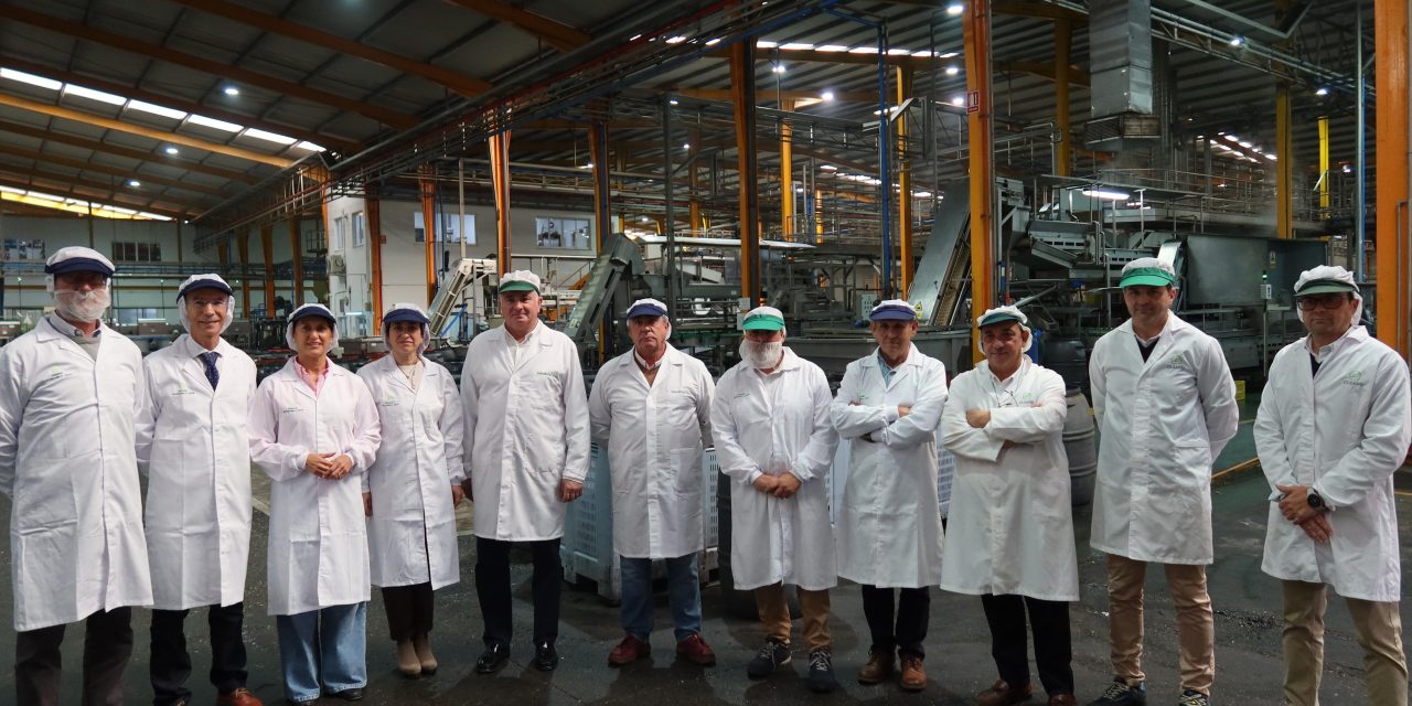 La delegada territorial de Agricultura en Sevilla de la Junta de Andalucía y el alcalde de Utrera visitan las instalaciones de Oleand Manzanilla Olive