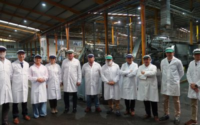 La delegada territorial de Agricultura en Sevilla de la Junta de Andalucía y el alcalde de Utrera visitan las instalaciones de Oleand Manzanilla Olive