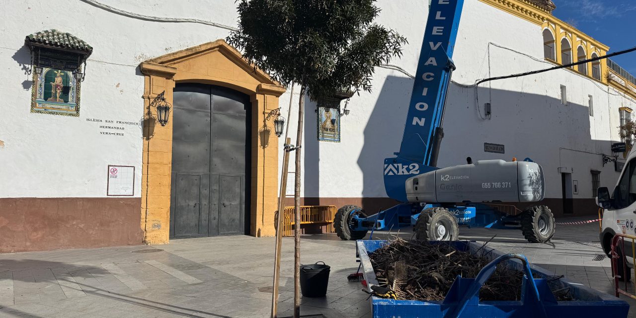 Medio Ambiente retira 1.750 kilos de nidos de cigüeña de la de la Iglesia de San Francisco por motivos de seguridad