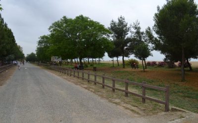 El Ayuntamiento gana el contencioso contra el SEPE y recupera la subvención del PFEA 2023 que le negó el Ministerio