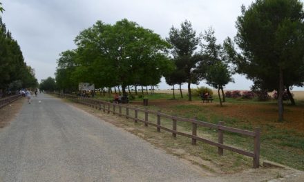 El Ayuntamiento gana el contencioso contra el SEPE y recupera la subvención del PFEA 2023 que le negó el  Ministerio