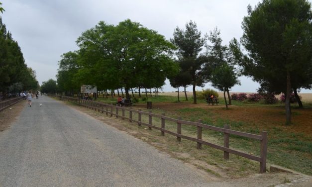 El Ayuntamiento gana el contencioso contra el SEPE y recupera la subvención del PFEA 2023 que le negó el  Ministerio