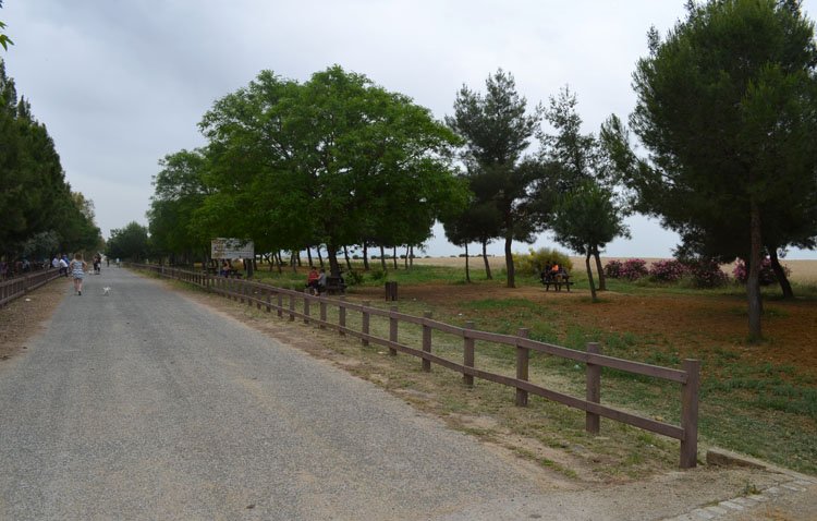 El Ayuntamiento gana el contencioso contra el SEPE y recupera la subvención del PFEA 2023 que le negó el  Ministerio