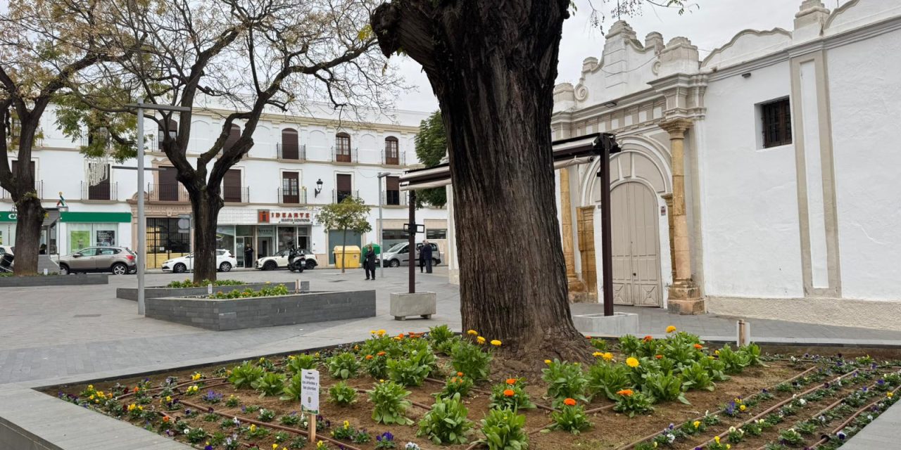 Parques y jardines recupera la Plaza de Pío XII con 800 nuevas plantas