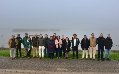 La Junta invierte más de 1,3 millones en la conservación y restauración del Paraje Natural Brazo del Este