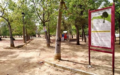 El Ayuntamiento de Utrera aprueba el proyecto de la Fase II para la Rehabilitación del Parque Cristo de los Afligidos