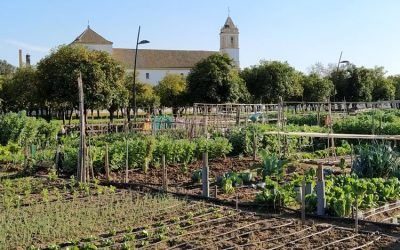 Los ensayos realizados en los Huertos Sociales del V Centenario, publicados por una revista internacional de horticultura