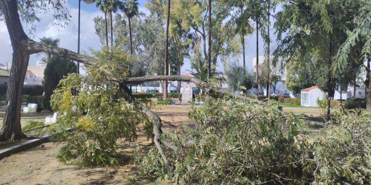 Los servicios municipales continúan trabajando para hacer frente a los daños que está dejando el temporal