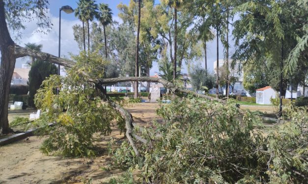 Los servicios municipales continúan trabajando para hacer frente a los daños que está dejando el temporal