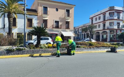 El Ayuntamiento avanza en el mantenimiento de zonas verdes de Utrera tras los efectos del temporal