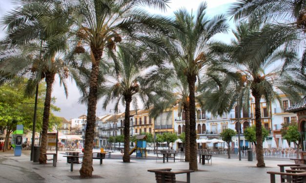 Comercio lanza su campaña de primavera para impulsar el comercio local bajo el lema “Bienvenidos al comercio local”