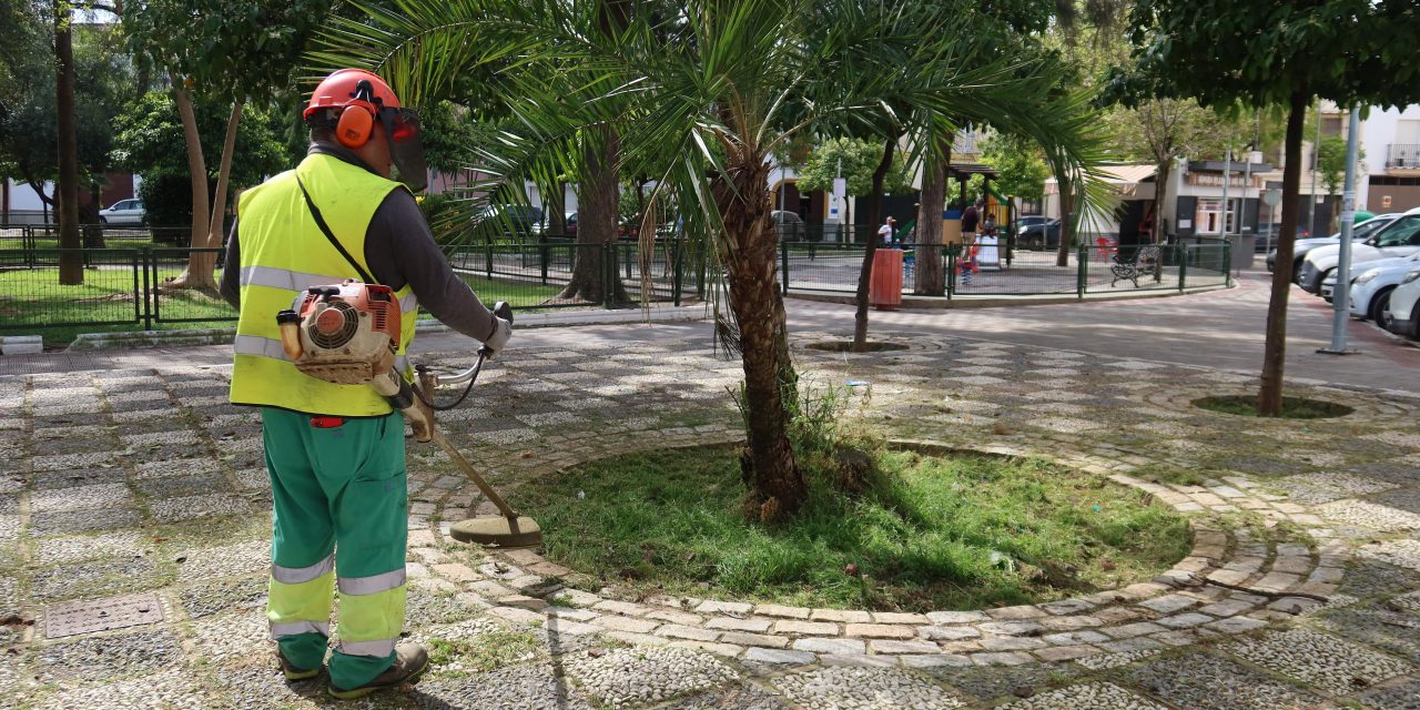 El Ayuntamiento de Utrera pone en marcha una campaña para la retirada de hierba en acerados