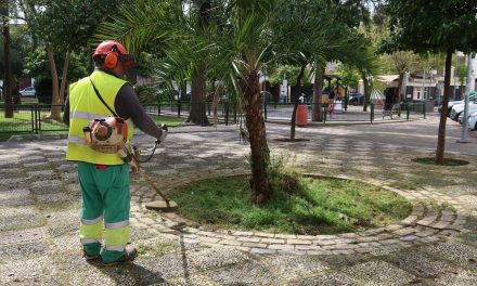 El Ayuntamiento de Utrera pone en marcha una campaña para la retirada de hierba en acerados