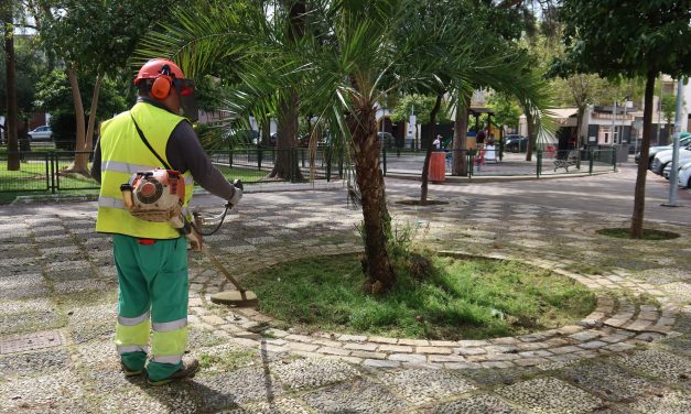 El Ayuntamiento de Utrera pone en marcha una campaña para la retirada de hierba en acerados