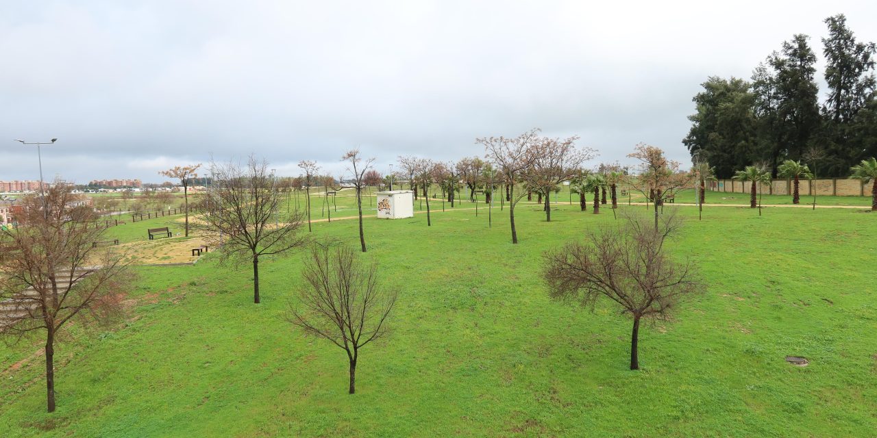Utrera presenta dos proyectos al Programa Andalucía FEDER, para el impulso de nuevos espacios verdes y zonas de sombra en la ciudad