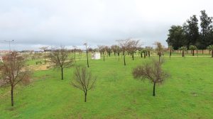 Parque periurbano de Vistalegre