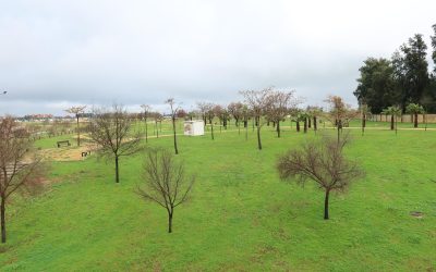 Utrera presenta dos proyectos al Programa Andalucía FEDER, para el impulso de nuevos espacios verdes y zonas de sombra en la ciudad