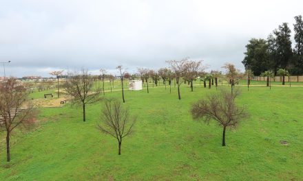 Utrera presenta dos proyectos al Programa Andalucía FEDER, para el impulso de nuevos espacios verdes y zonas de sombra en la ciudad