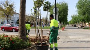 Plantación de árboles en Utrera dentro de la campaña de recuperación de zonas verdes tras los temporales