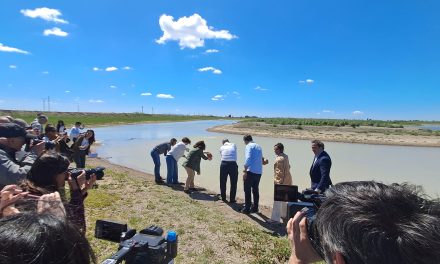 El Paraje Natural Brazo del Este refuerza su valor ambiental con la restauración del humedal Reboso Sur
