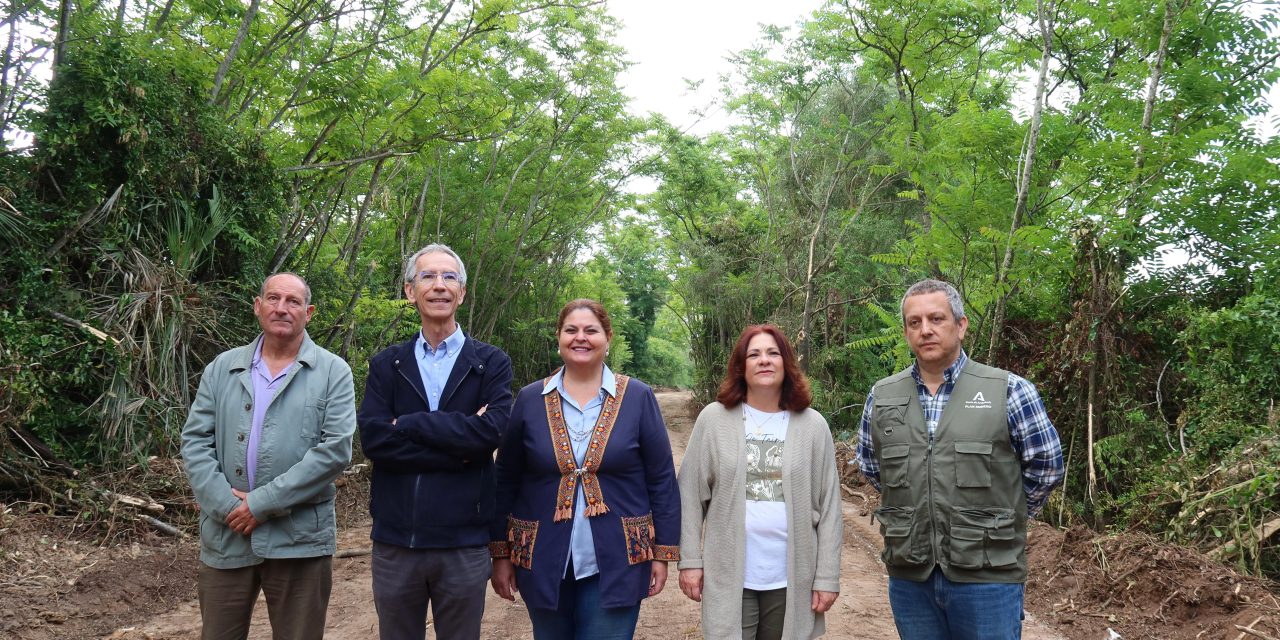 Acondicionada la Vereda de Dos Hermanas dentro del Plan Romero 2026 de la Junta de Andalucía