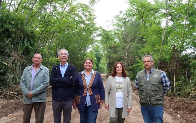 Acondicionada la Vereda de Dos Hermanas dentro del Plan Romero 2026 de la Junta de Andalucía