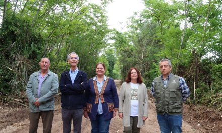 Acondicionada la Vereda de Dos Hermanas dentro del Plan Romero 2026 de la Junta de Andalucía