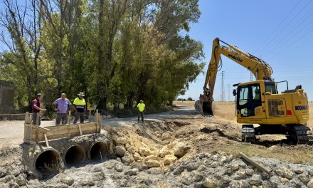 La Junta de Andalucía ejecuta las obras de emergencia en los cuatro caminos rurales de Utrera solicitados por el Ayuntamiento
