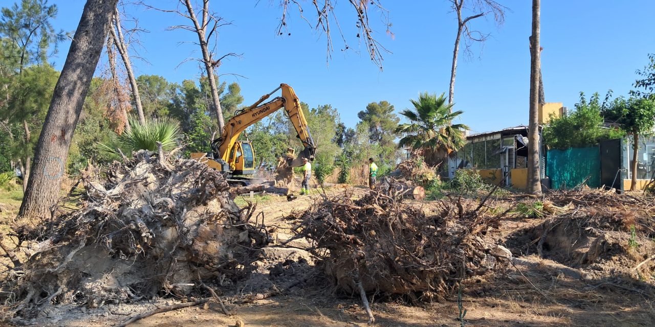 Retirada de 55 árboles de gran porte que el temporal derribó en el Parque de Guadalema