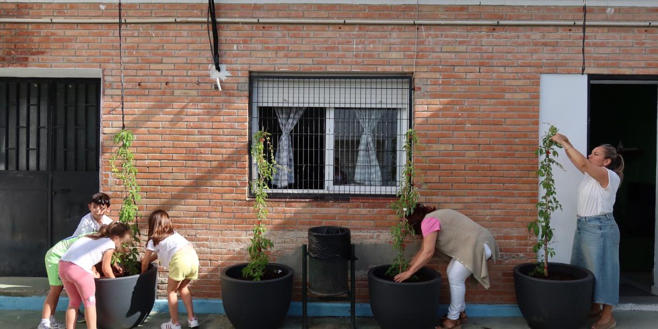Medio Ambiente impulsa en el CEIP Rodrigo Caro un proyecto piloto para crear una zona de sombra natural