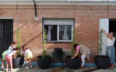 Medio Ambiente impulsa en el CEIP Rodrigo Caro un proyecto piloto para crear una zona de sombra natural