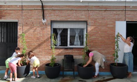 Medio Ambiente impulsa en el CEIP Rodrigo Caro un proyecto piloto para crear una zona de sombra natural
