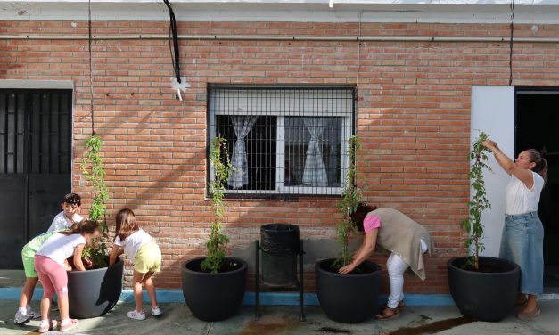 Medio Ambiente impulsa en el CEIP Rodrigo Caro un proyecto piloto para crear una zona de sombra natural