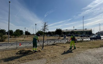 Parque y Jardines intensifica las labores de limpieza y mantenimiento en polígonos industriales de Utrera
