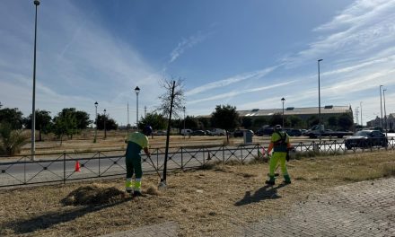 Parque y  Jardines intensifica las labores de limpieza y mantenimiento en polígonos industriales de Utrera