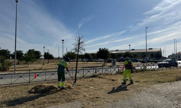 Parque y  Jardines intensifica las labores de limpieza y mantenimiento en polígonos industriales de Utrera