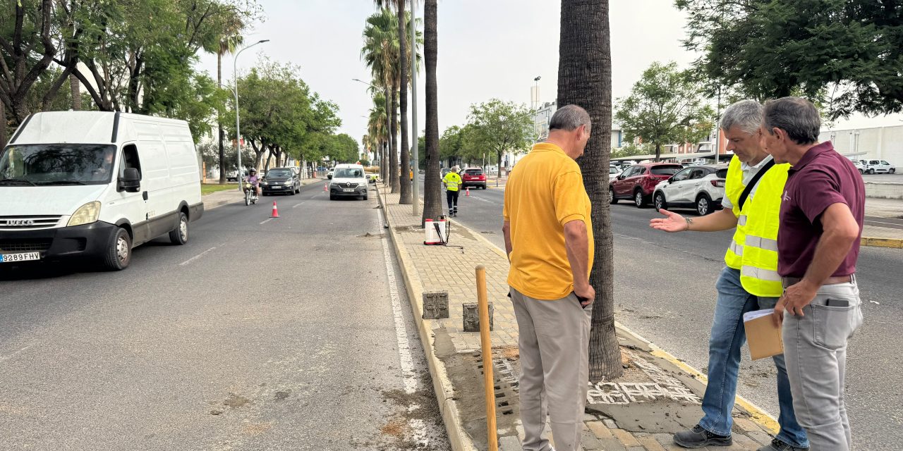 Continúan los trabajos en la entrada de Utrera con  mejoras en las rotondas y medianas hasta La Trianilla