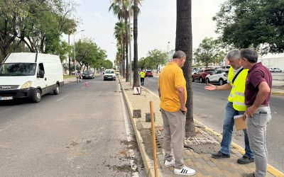 Continúan los trabajos en la entrada de Utrera con mejoras en las rotondas y medianas hasta La Trianilla
