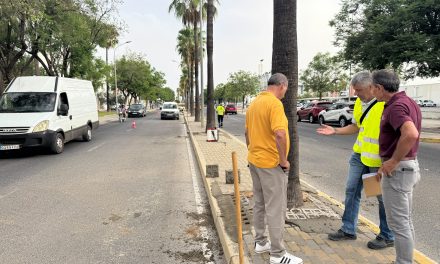 Continúan los trabajos en la entrada de Utrera con  mejoras en las rotondas y medianas hasta La Trianilla