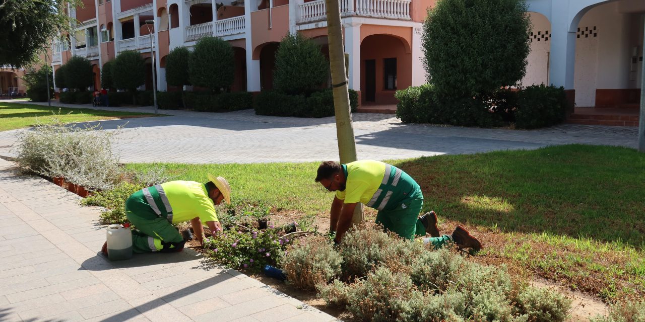 Parques y Jardines intensifica la puesta a punto de las zonas verdes para la Feria de Consolación 2026