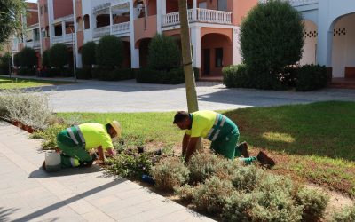 Parques y Jardines intensifica la puesta a punto de las zonas verdes para la Feria de Consolación 2026