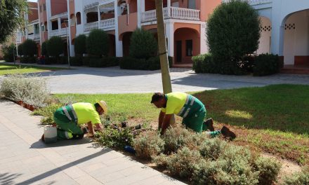 Parques y Jardines intensifica la puesta a punto de las zonas verdes para la Feria de Consolación 2026