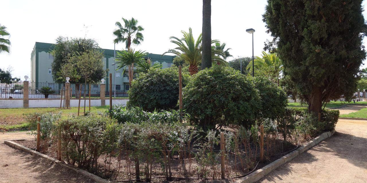 Parques y Jardines restaura la zona del Parque de Consolación tras la retirada del pino de gran porte